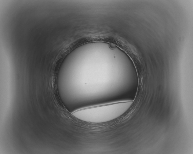 X0000112501300200908171003