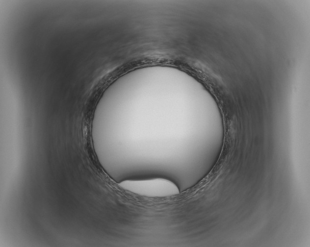 X0000112501302200908171003
