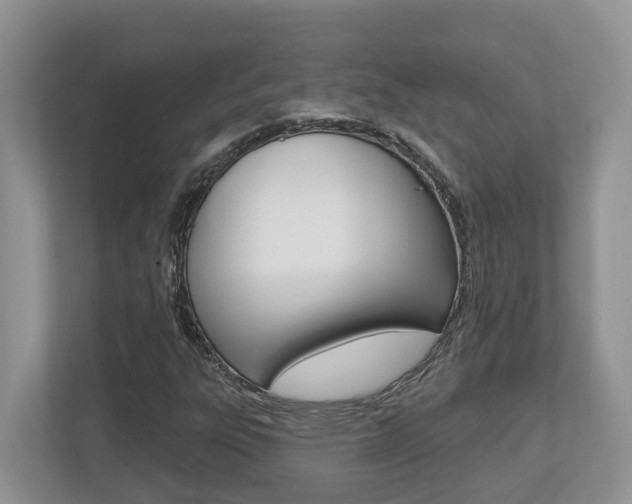 X0000112501303200908171003