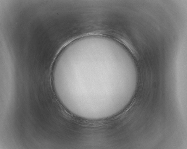 X0000112501308200908171003