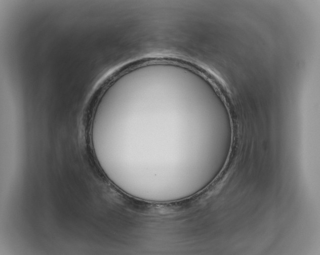 X0000112501311200908171003
