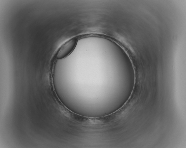 X0000112501312200908171003