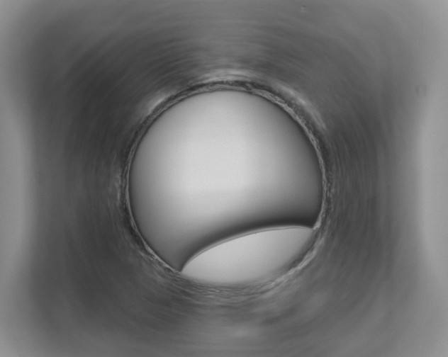 X0000112501313200908171003