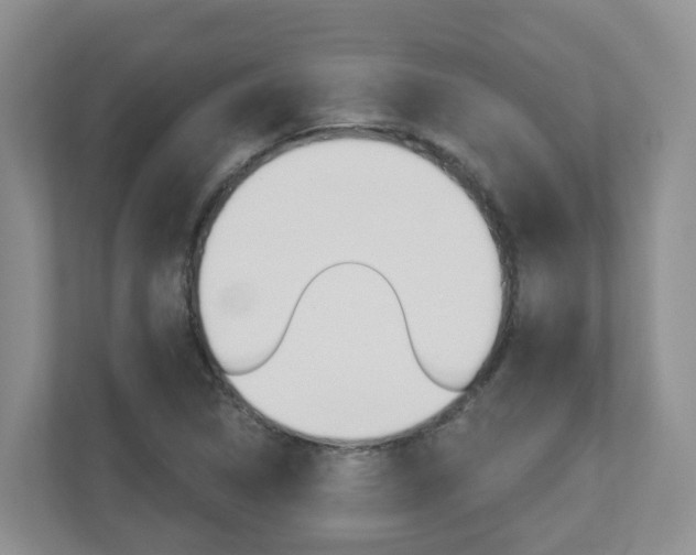 X0000112501314200908171003