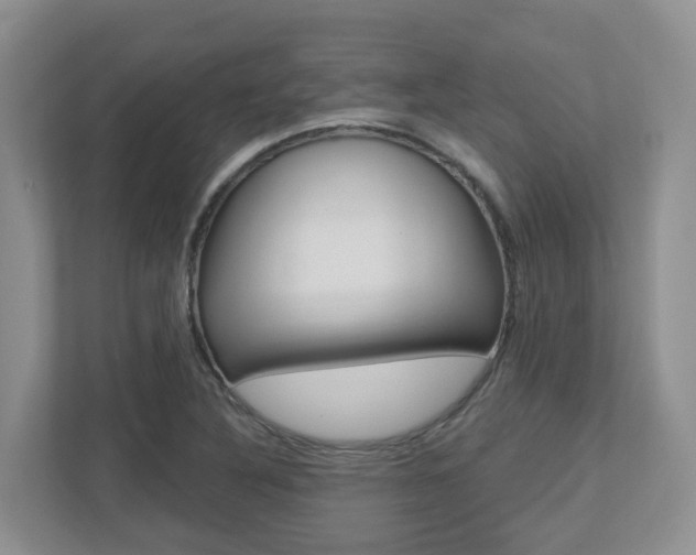 X0000112501316200908171003
