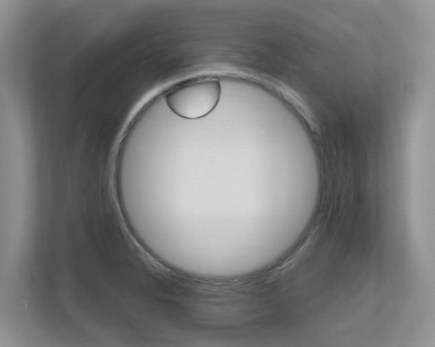 X0000112501326200908171003