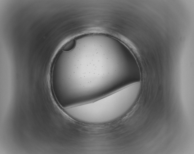 X0000112501334200908171003