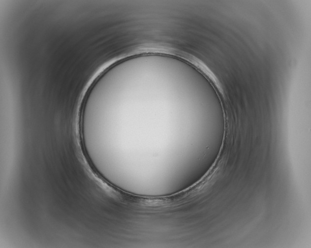 X0000112501339200908171004