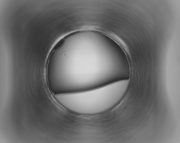 X0000112501340200908171004