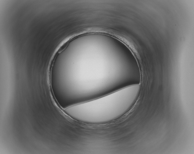 X0000112501342200908171004