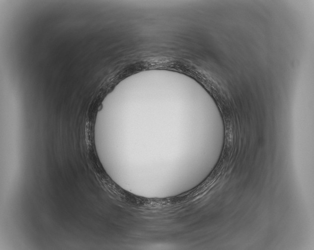 X0000112501346200908171003