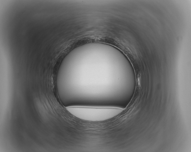 X0000112501347200908171003