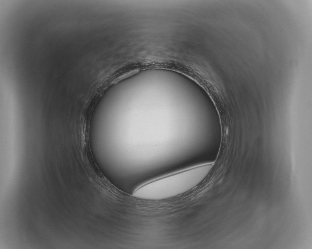 X0000112501348200908171003