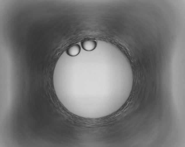 X0000112501349200908171003