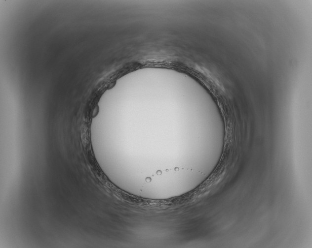 X0000112501350200908171003