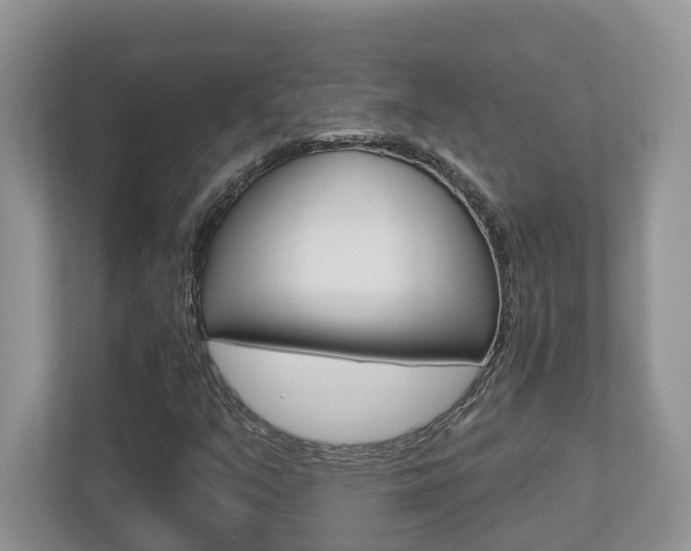 X0000112501351200908171003