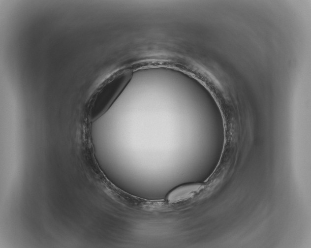 X0000112501352200908171003