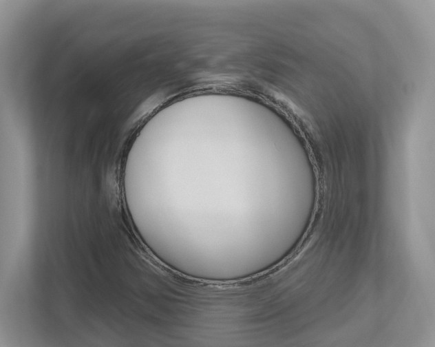 X0000112501354200908171003