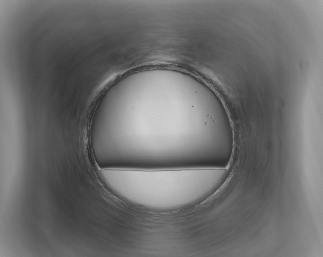 X0000112501355200908171003