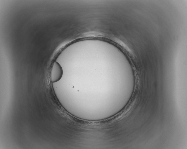 X0000112501358200908171003