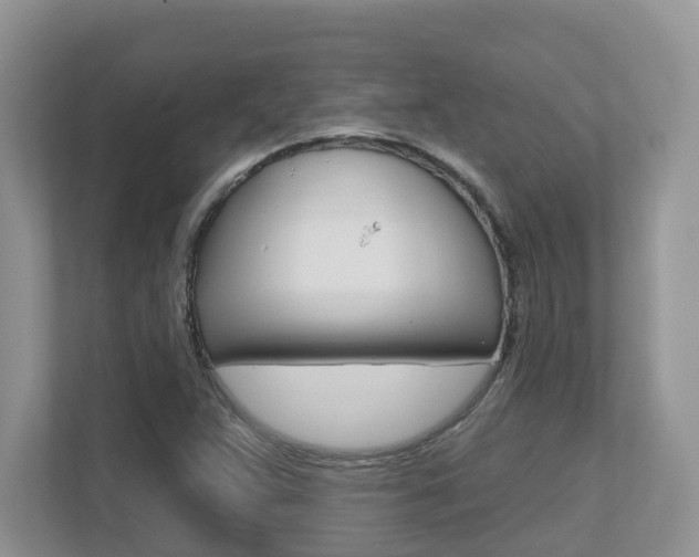 X0000112501359200908171003