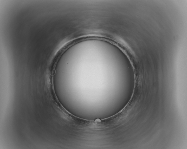 X0000112501360200908171003