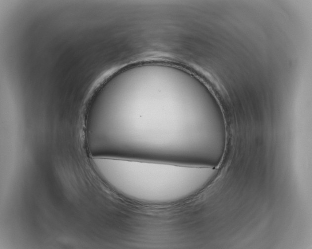 X0000112501363200908171003
