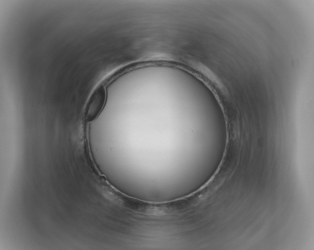X0000112501364200908171003