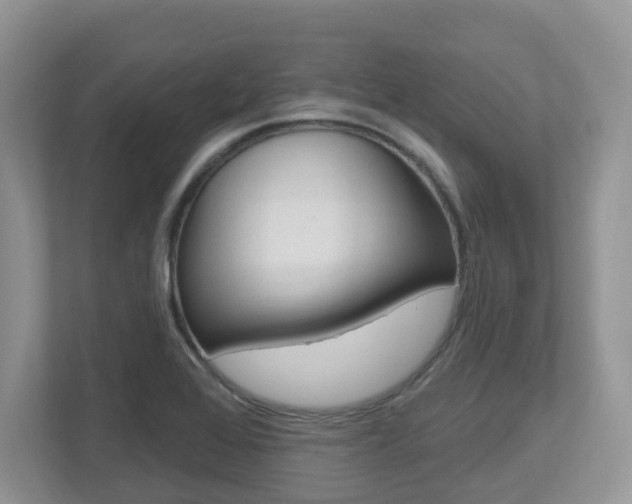 X0000112501368200908171003