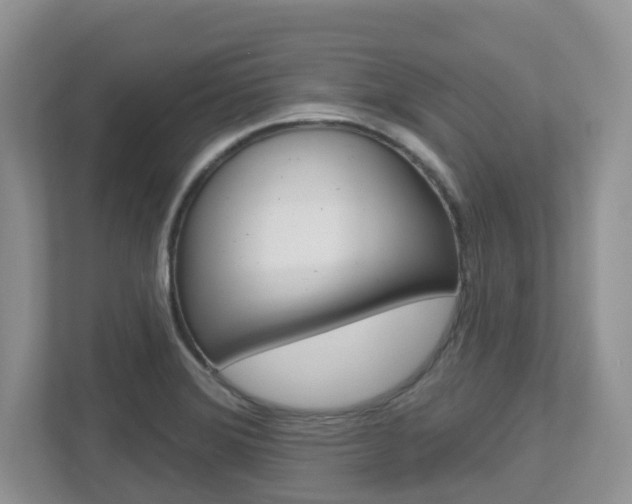 X0000112501372200908171003