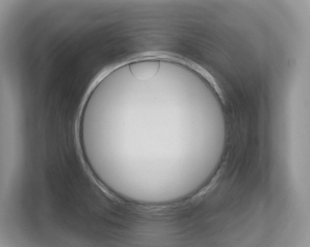 X0000112501373200908171003