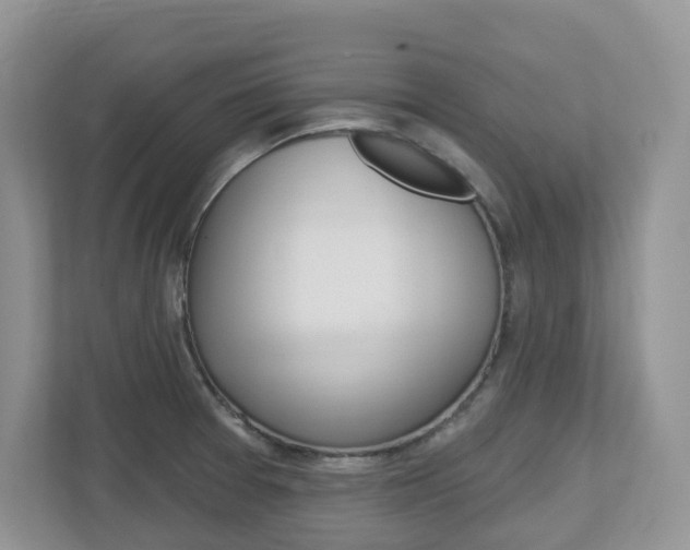 X0000112501377200908171003