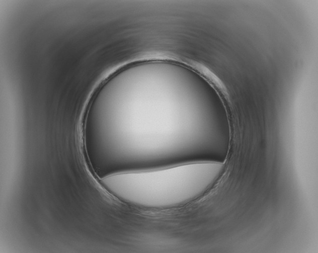 X0000112501380200908171003