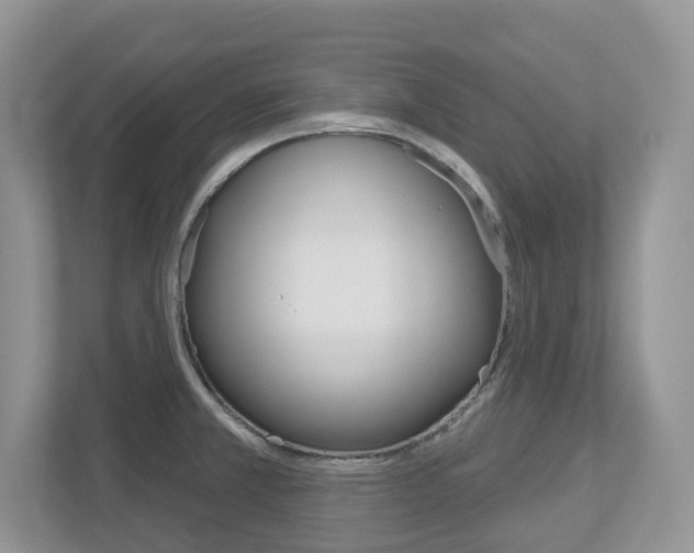 X0000112501381200908171002