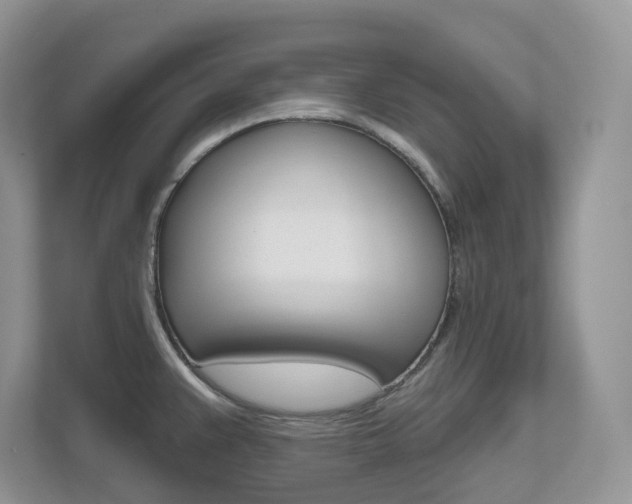X0000112501383200908171002