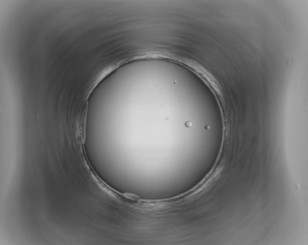 X0000112501385200908171002