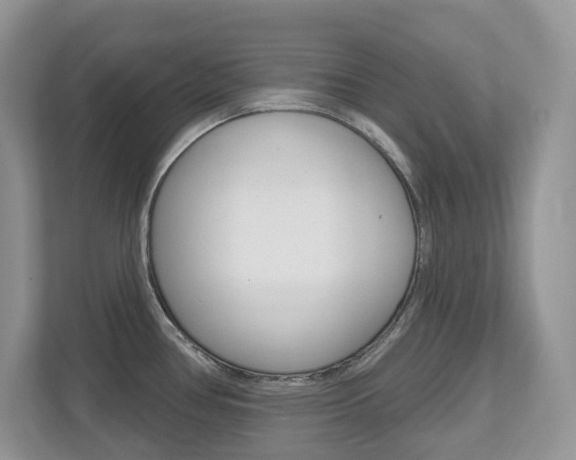 X0000112501386200908171002