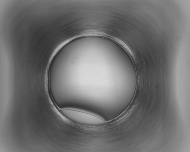 X0000112501387200908171002