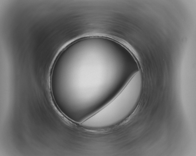X0000112501388200908171002