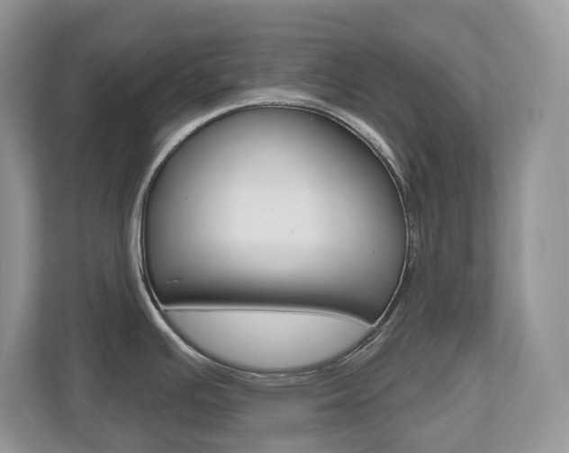 X0000112501391200908171002