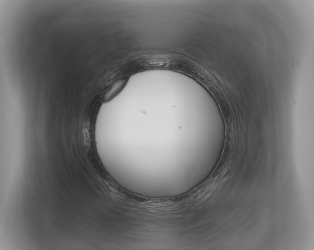 X0000112501394200908171002