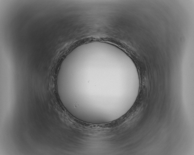 X0000112501398200908171002