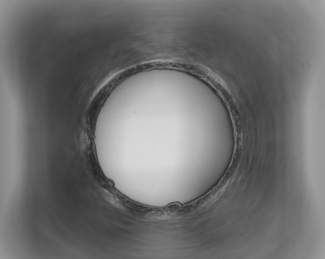X0000112501400200908171002