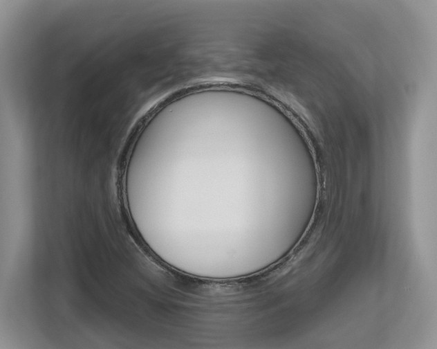 X0000112501404200908171002