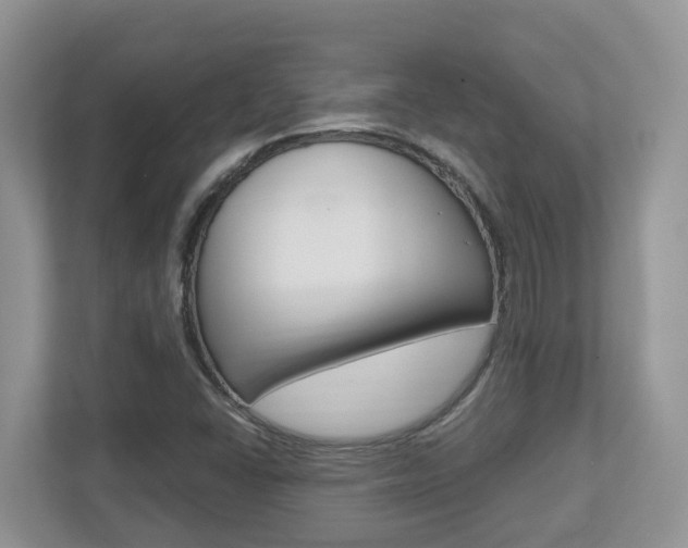 X0000112501406200908171002