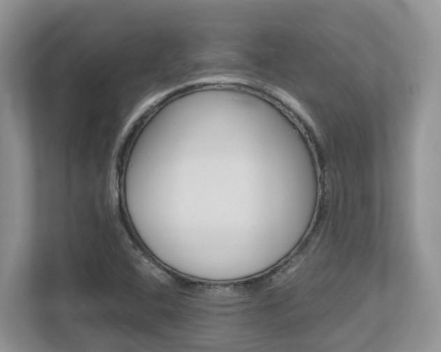 X0000112501408200908171002