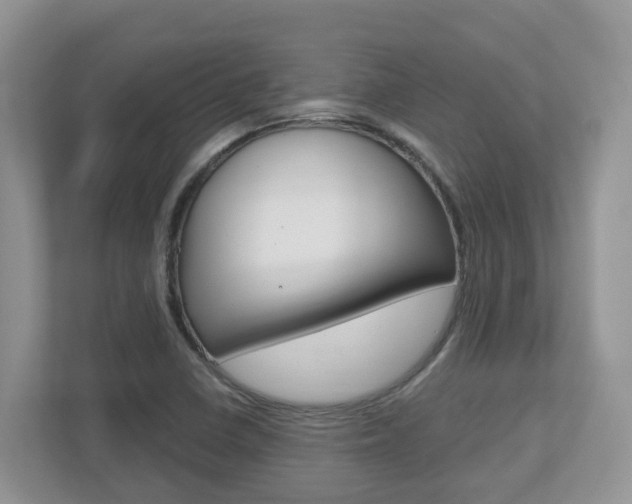 X0000112501410200908171002