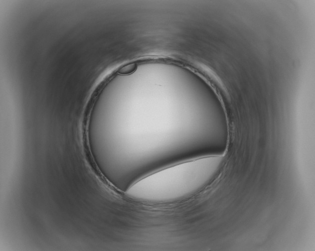 X0000112501412200908171002