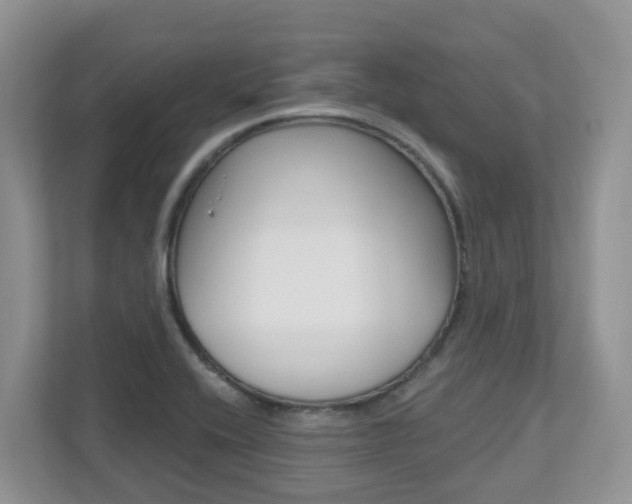 X0000112501416200908171002