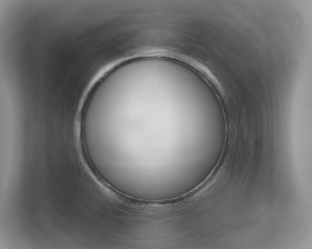 X0000112501424200908171002